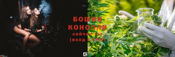 трава Инта