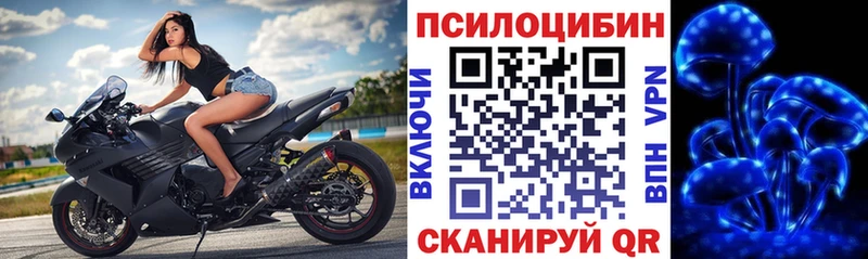 Галлюциногенные грибы GOLDEN TEACHER  купить  цена  Можайск 