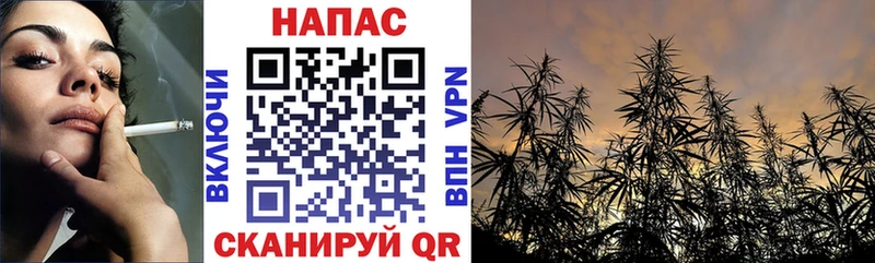 Шишки марихуана конопля  Можайск 